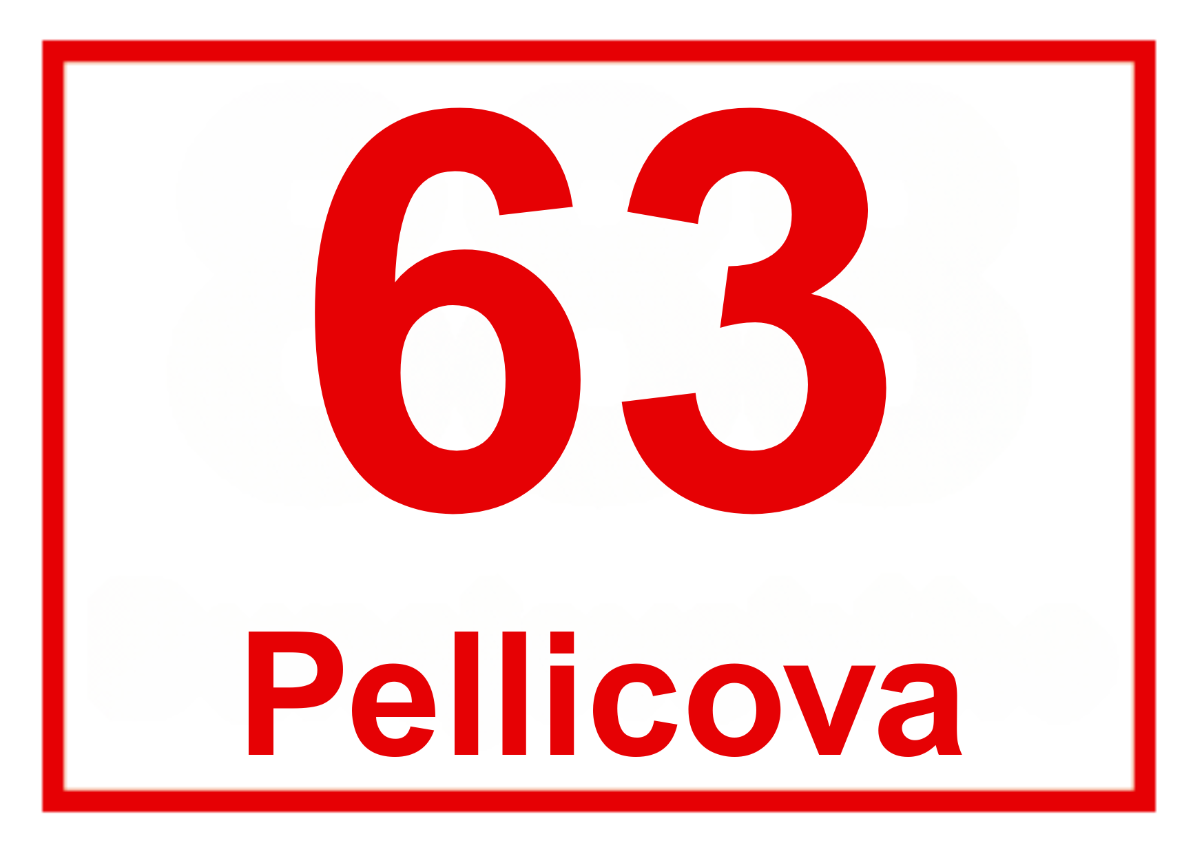 čo brno 28 x 20 cm